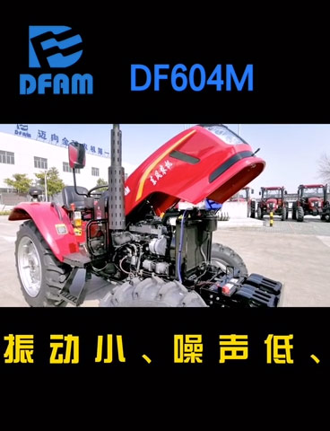 DF604M